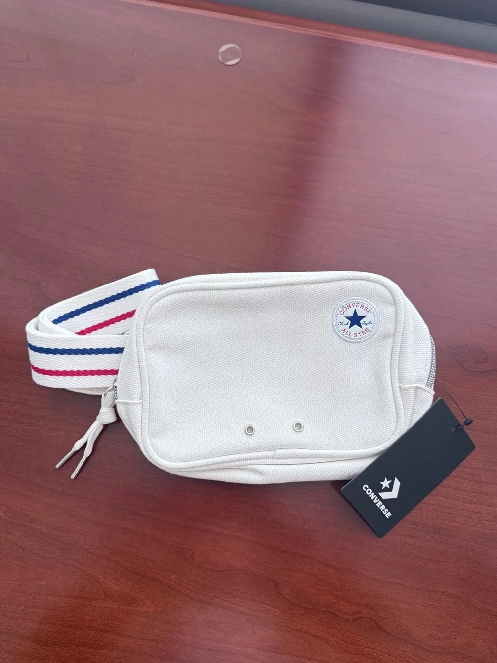 Converse Chuck Taylor Crossbody Bag in Egret | NWT